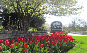 Rice's Landscaping History