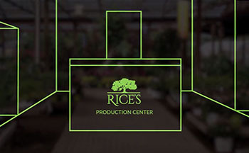 Rice's Production Center Concept Drawing