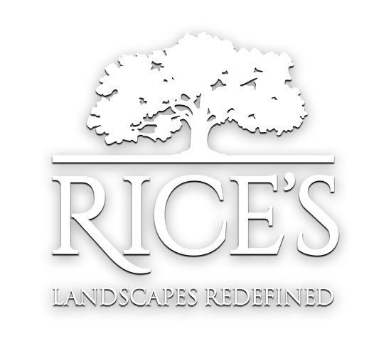 Rices Logo