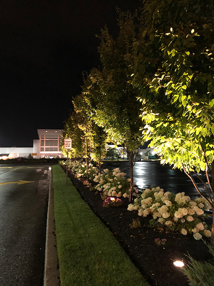 New night lighting shows off the strong, crisp features of the updated landscaping.