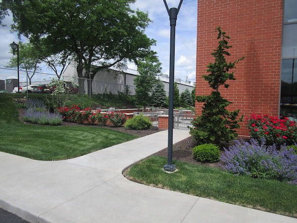 The employee patio space is surrounded with repeat blooming shrubs and perennials to provide a beautiful display of color throughout the growing season.