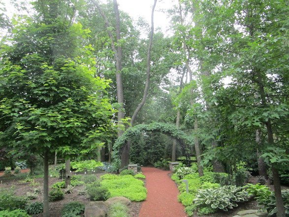 Discover the beauty of your garden with winding paths vibrant outdoor space with a winding path
