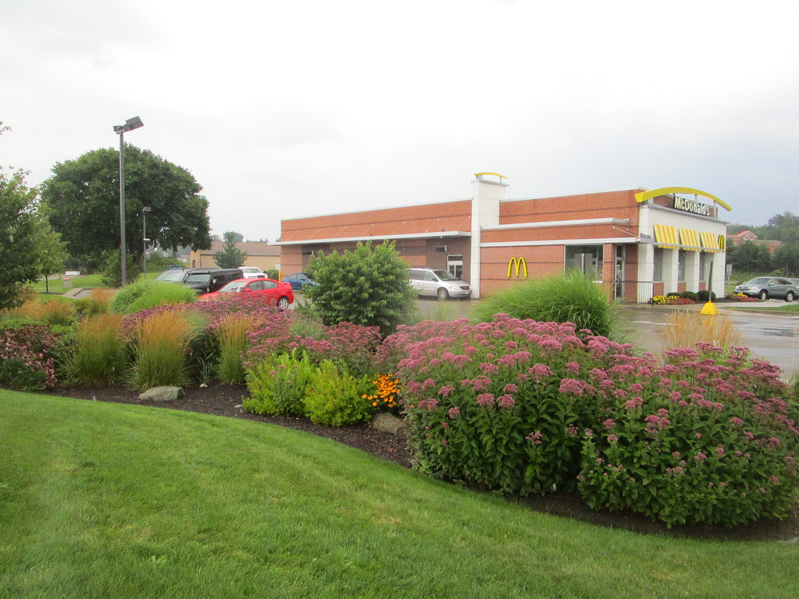 McDonalds commercial landscaping design