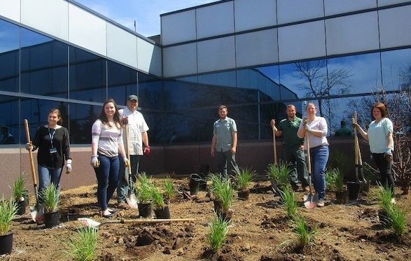 Rice's team working on an Earth Day project