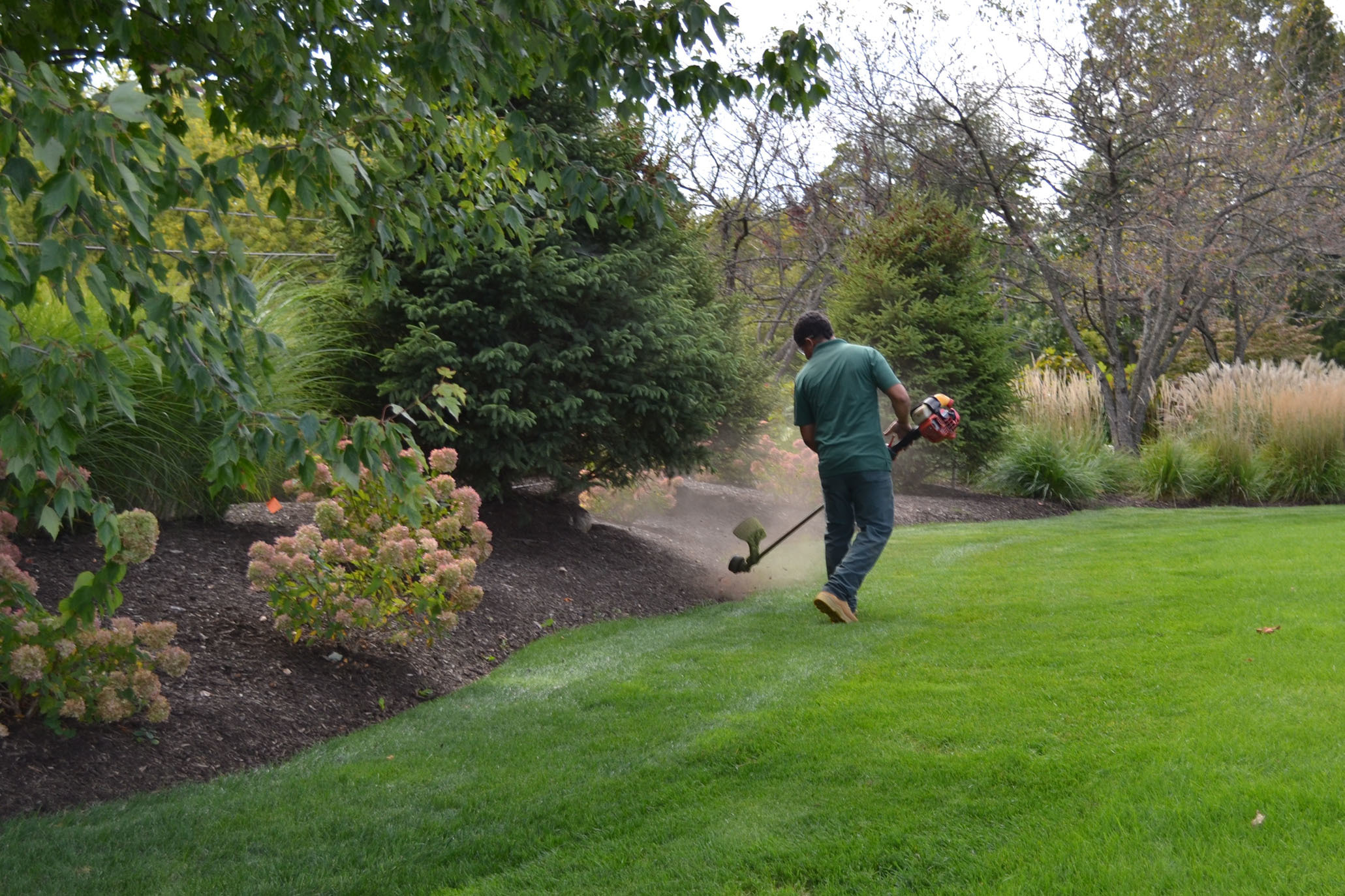 Professional landscaping company handling residential landscaping services and maintenance
