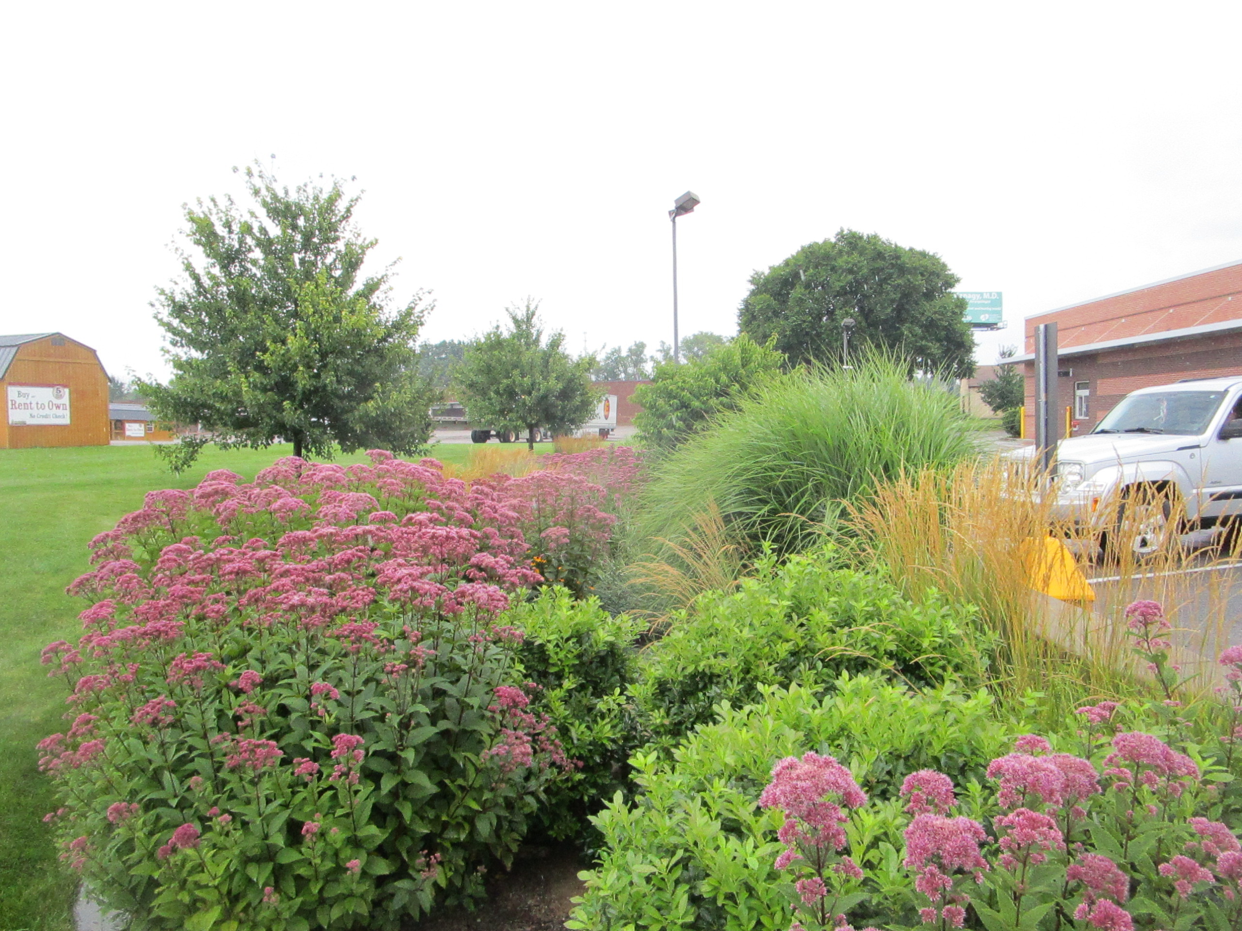 commercial building landscaping