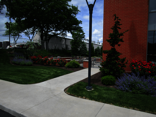 Landscaping at Campbell Oil's corporate office leading to patio area