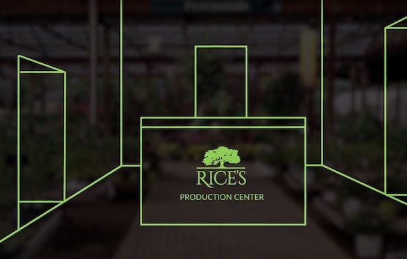 Rice's production center